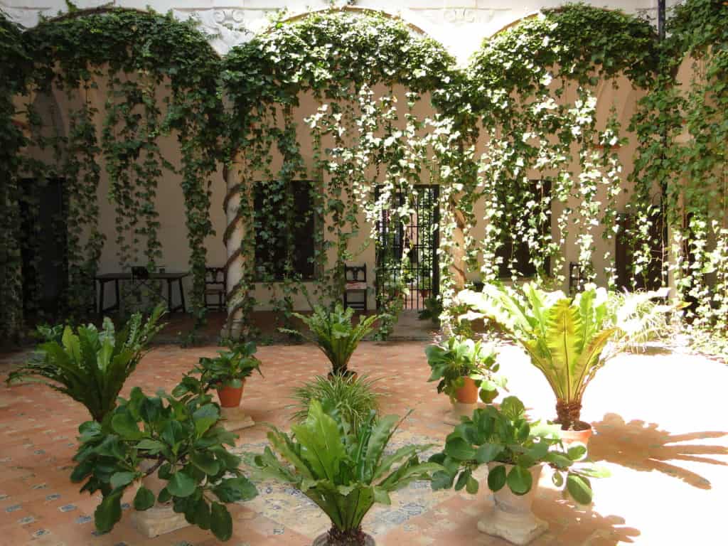 ITALIQUEPROPIEDADESDETALLEPATIOINTERIORDSC09553