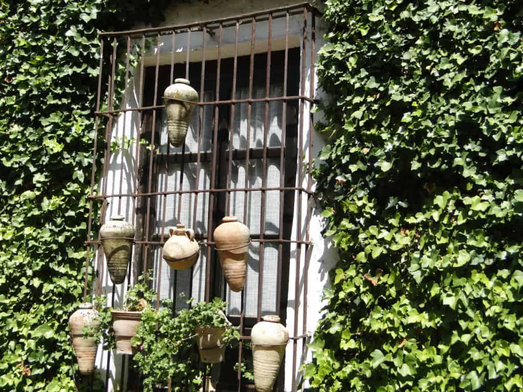 ITALIQUEPROPIEDADESPATIOVSIJAS ANTIGUASDSC09560