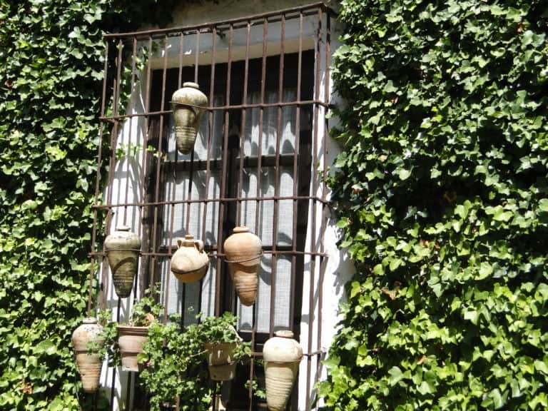 ITALIQUEPROPIEDADESPATIOVSIJAS ANTIGUASDSC09560