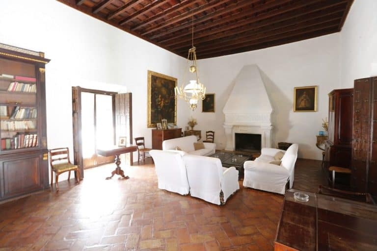 ITALIQUEPROPIEDADESSALONCHIMENEAPALACIOProperty-a9ca0000000001ae000f57306472-28232361[1]