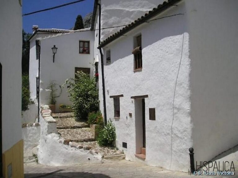 c077ad39-0003635177