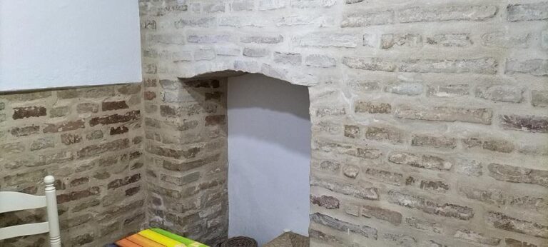 3686929-f249c51a