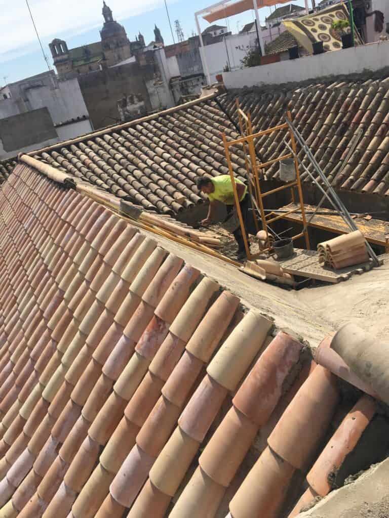 WhatsApp Image 2026-04-17 at 15.15.17 (3)